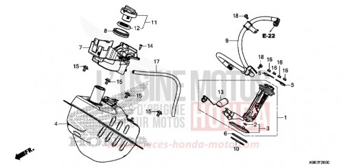 FUEL TANK WW125AK de 2019